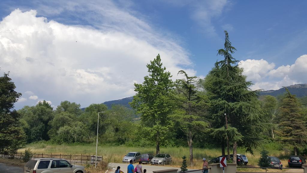 Park Beach Apartment Ohrid Bagian luar foto